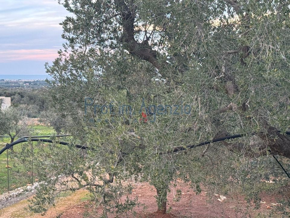 Landejendom i Carovigno, Brindisi - foto 4